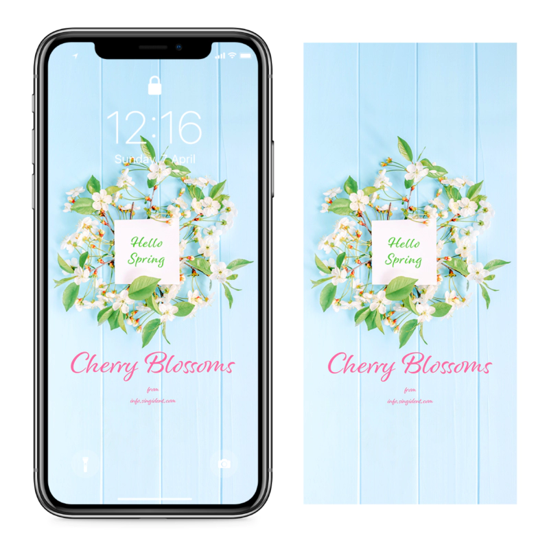 05 원형 벚꽃 장식 C - Cherry Blossoms 봄배경화면