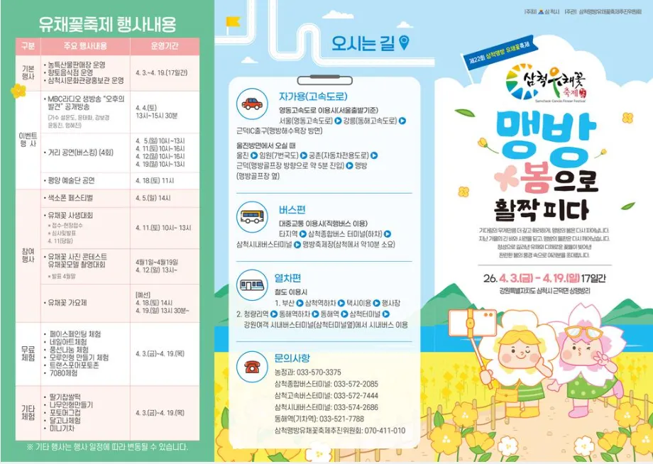 강원도 삼척 맹방 유채꽃 축제