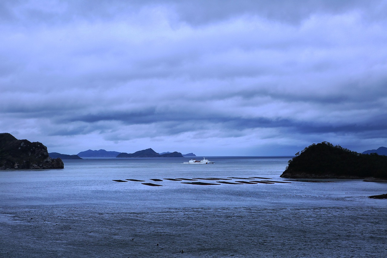 Busan, located on the southern coast, needs more thorough preparations during the rainy season due to moisture, wind, and heavy rain.