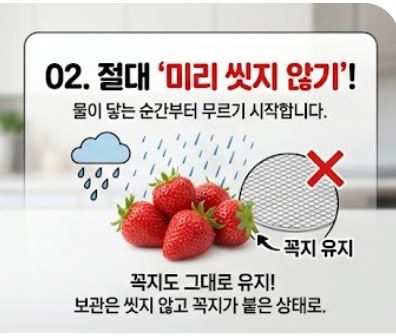 딸기보관방법