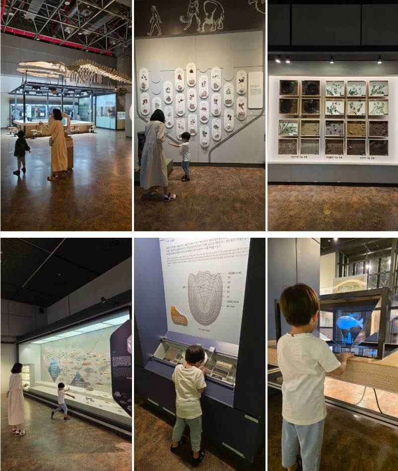 국립중앙과학관 자연사관 &amp; 인류관