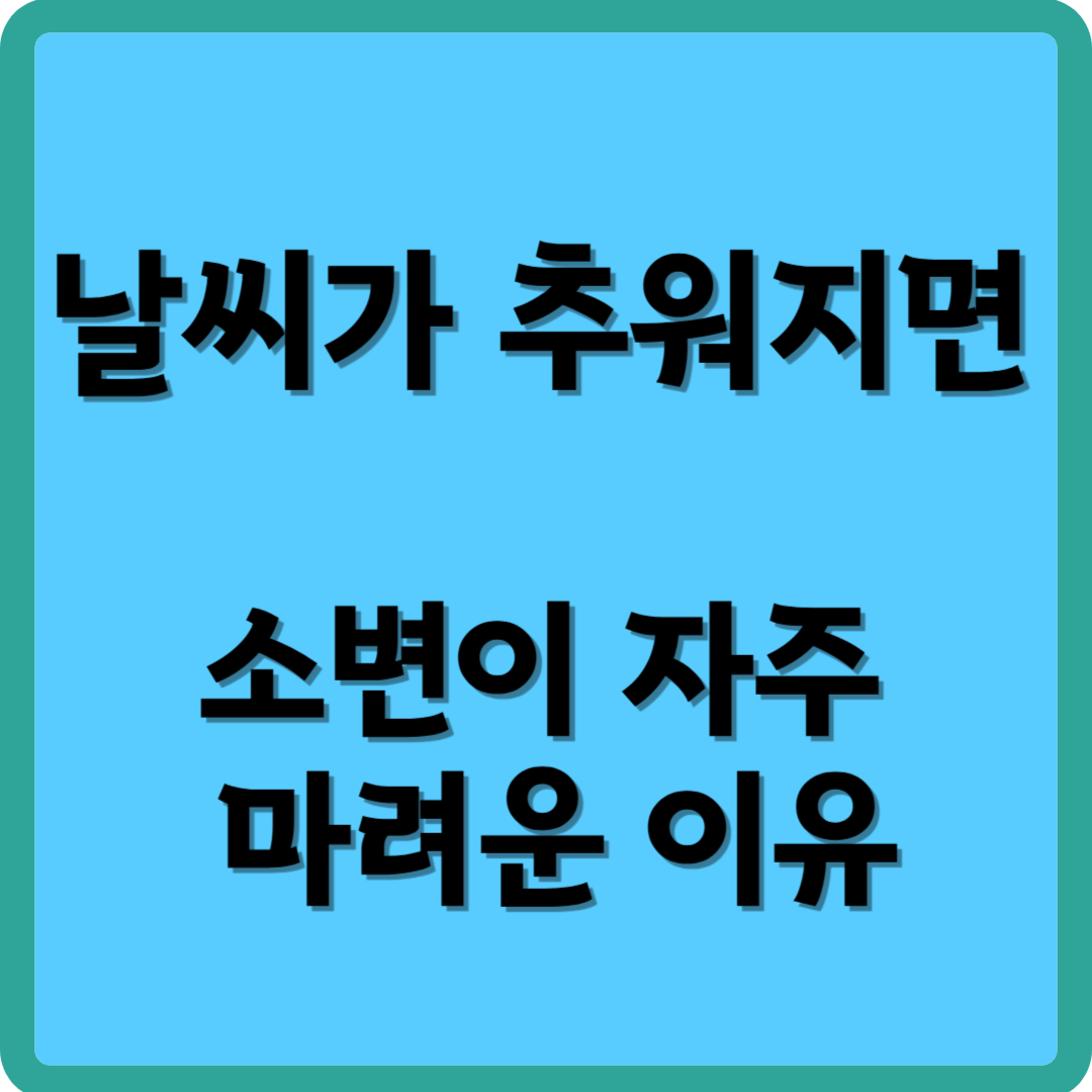 날씨가 추워지면 소변이 자주 마려운 이유