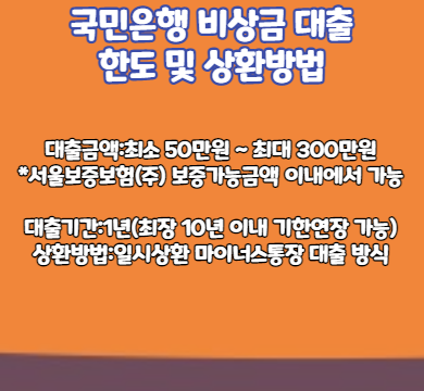 국민은행 비상금 대출 한도 및 상환방법