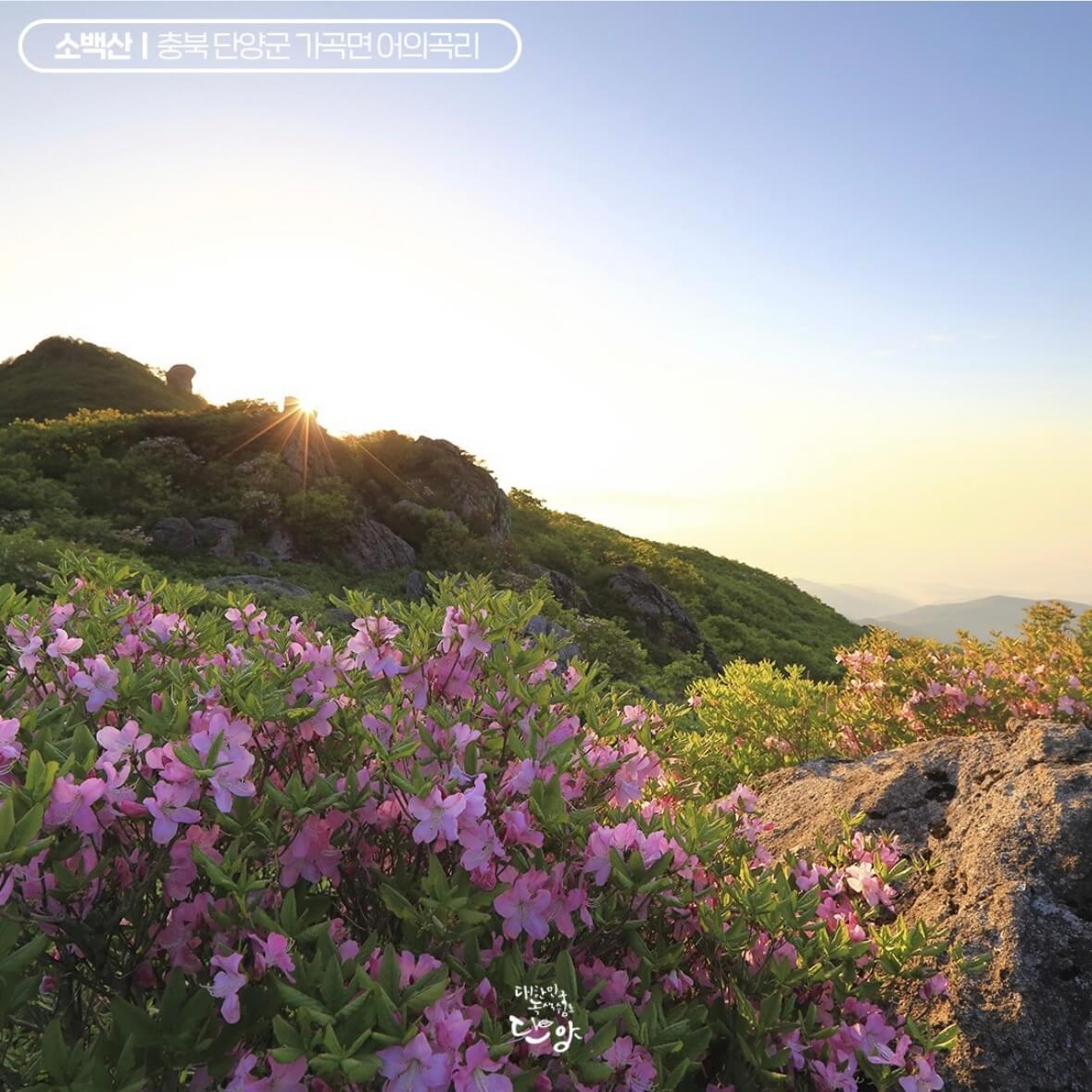 소백산 등산코스