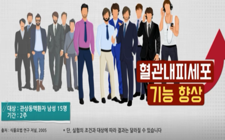 흑마늘 SAC 효능