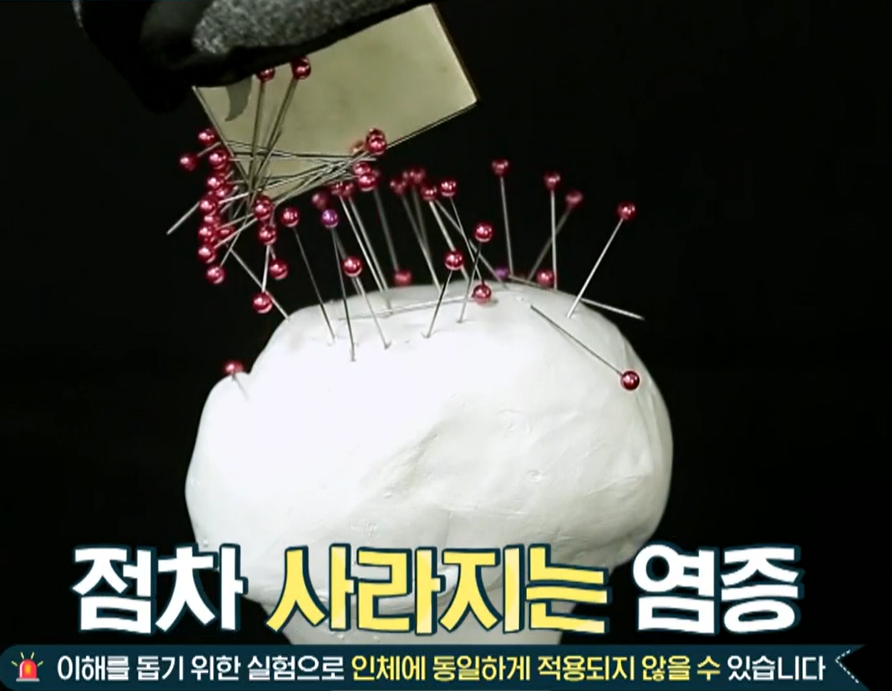 보스웰리아 효능