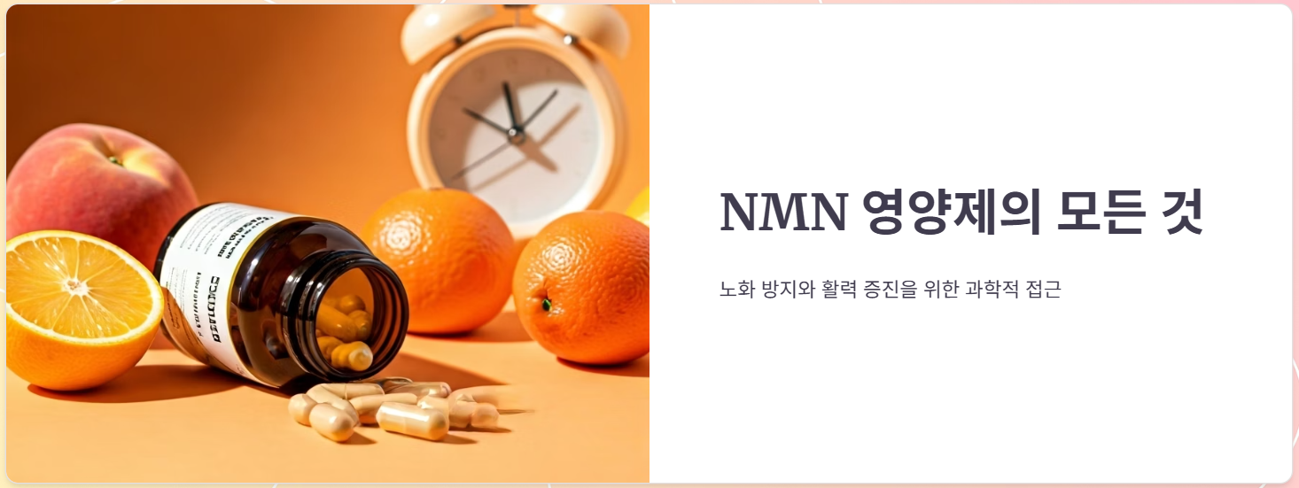 NMN영양제 추천, 효능 효과, 부작용, 복용후기 총정리!