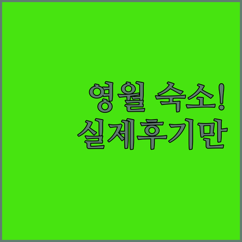 영월 숙소 5곳 실제 이용 후기 및 ..