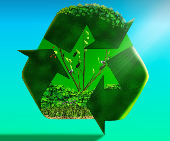 일상에서 쓰레기를 줄이는 7가지 효과적인 방법