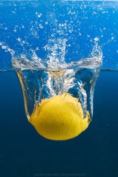 다이어트 레몬물 효능 아침에 먹는 레몬물 레몬차 만들기