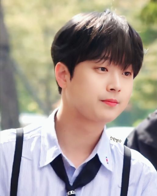 이찬원 나이 학력 고향 결혼 노래 콘서트 팬카페 찬란 성격 MBTI 혈액형 키 몸무게 