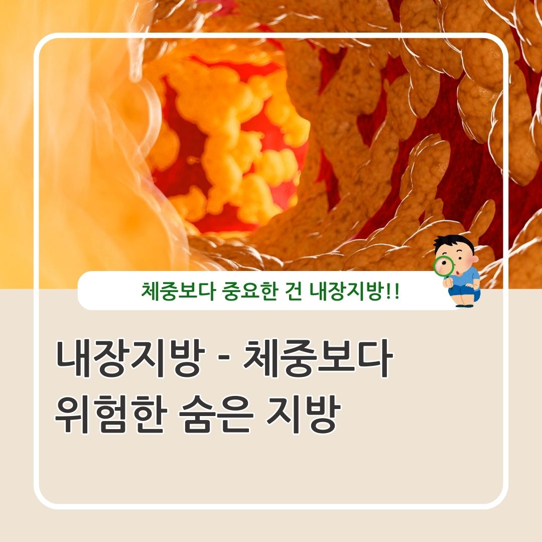 내장지방 체중보다 위험한 숨은 지방에 대한 정리