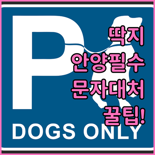 안양시 주정차단속알림 서비스 문자 수..