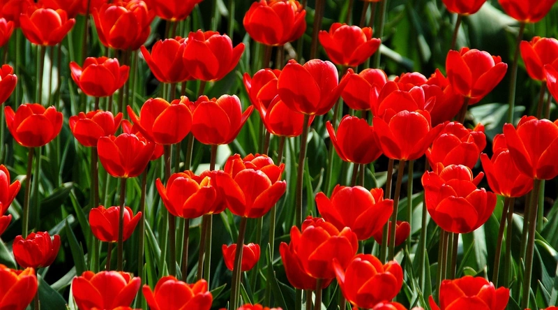 공장 증축 인허가 절차와 시공업체