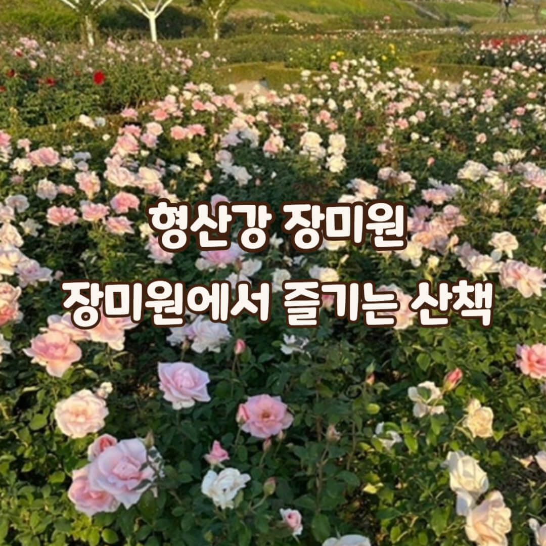형산강-장미원