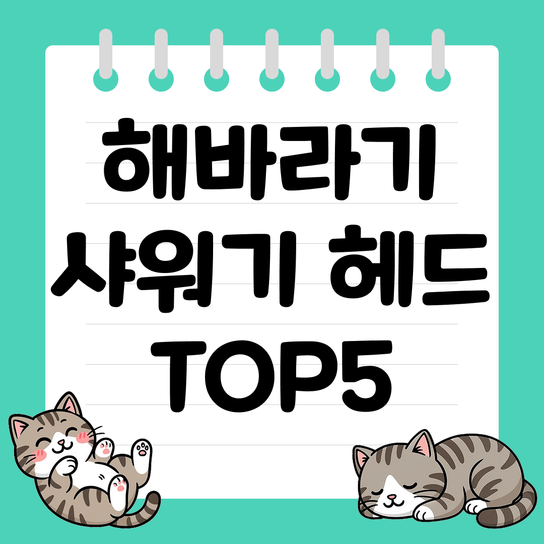 넓은 분사로 샤워 만족도 높이는 해바라기 샤워기 헤드 추천 순위 TOP5
