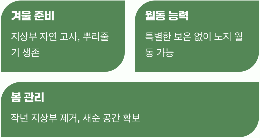 겨울, 그리고 새로운 시작