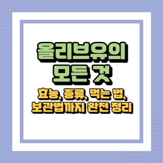 올리브유의 모든 것 - 효능, 종류, 먹는 법, 보관법까지 완전 정리