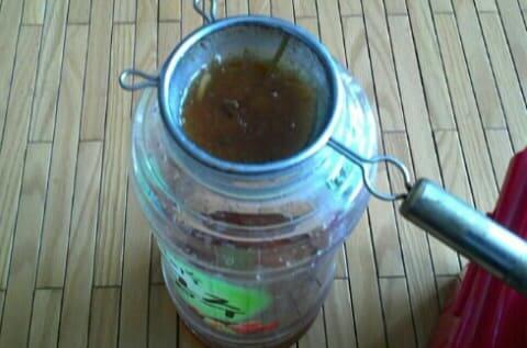 삼채-삼채효소-효능