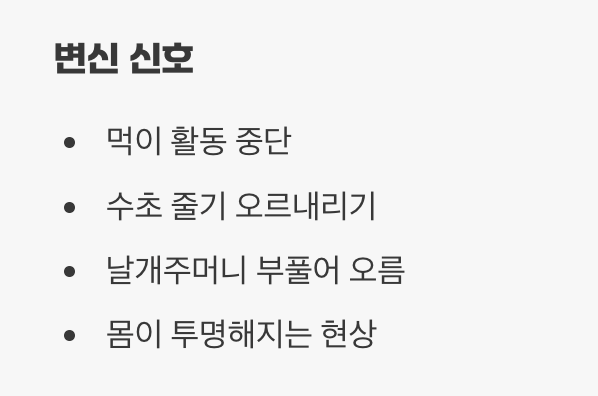 경이로운 변신, 하늘로 가는 길목