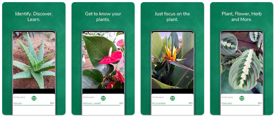 식물이름찾기어플기능