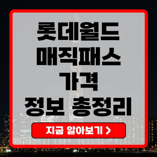 롯데월드 매직패스