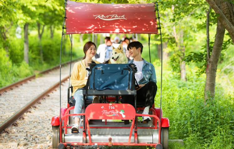 경강 레일바이크