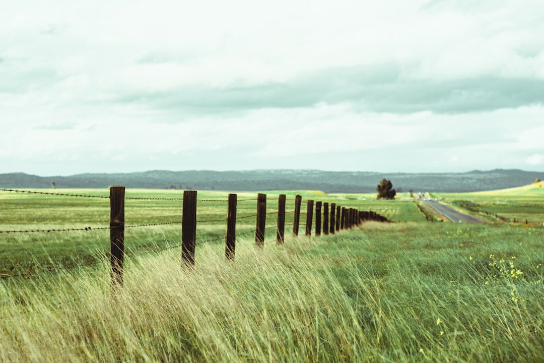 Land.