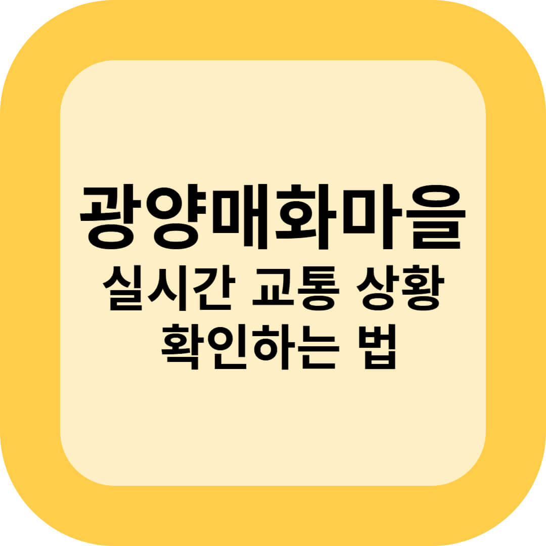 광양매화마을 실시간 교통 상황 확인하는 법