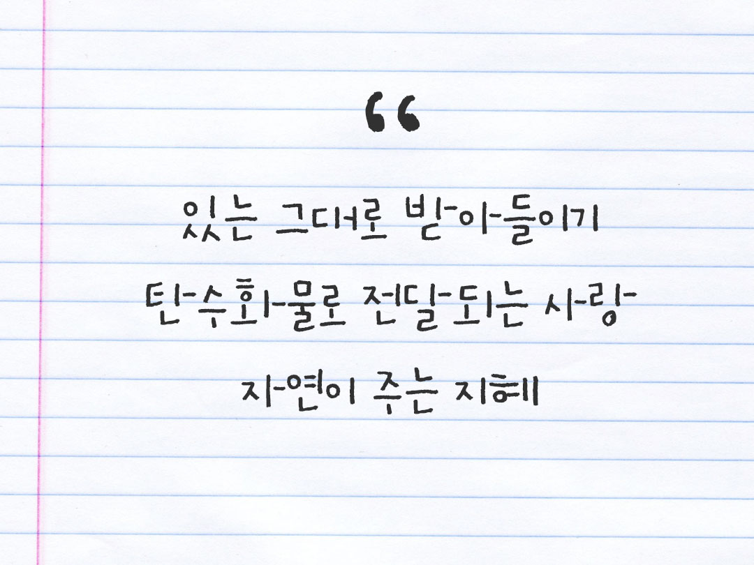2026년 3월 19일 피어나네 감사노트|일상을 행복으로 바꾸는 기록 하루 3줄 감사일기