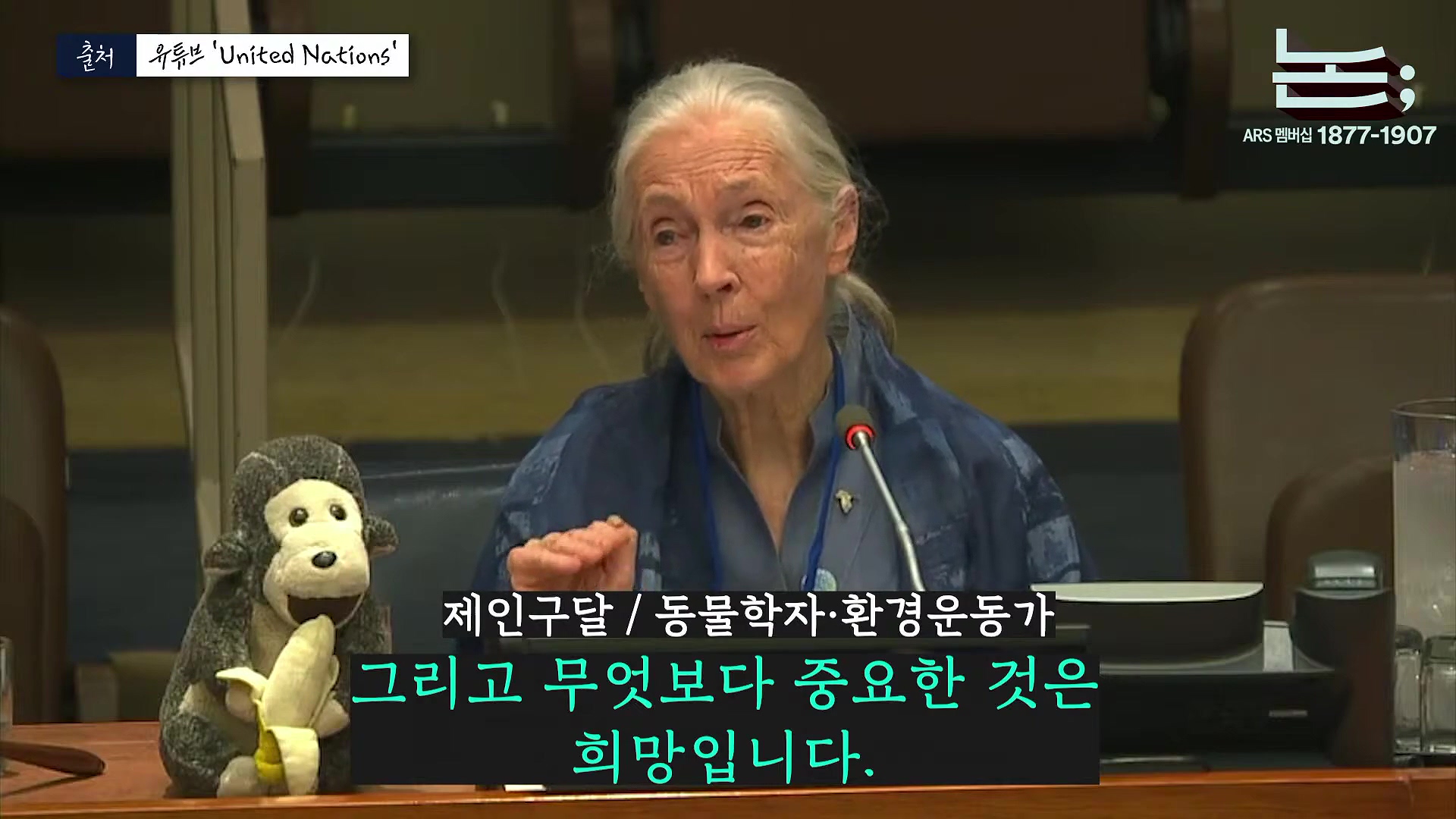 [정준희의 논] '제국의 위안부' 박유하와 '침팬지의 어머니' 제인 구달ㅣ2025년 10월 2일 목요일.mp4_20251006_195618.486.jpg