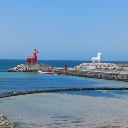 제주공항 근처 놀거리 볼거리 이호테호 해변