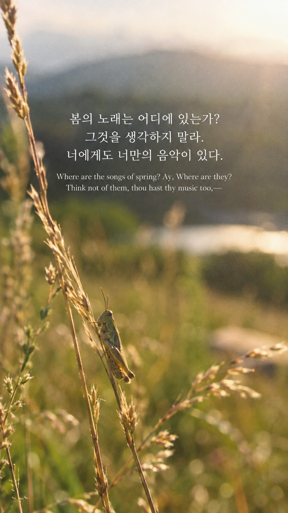 존 키츠의 가을의 음악에 관한 가을 글귀 &mdash; 한글과 영어 원문을 담은 아날로그 필름 사진