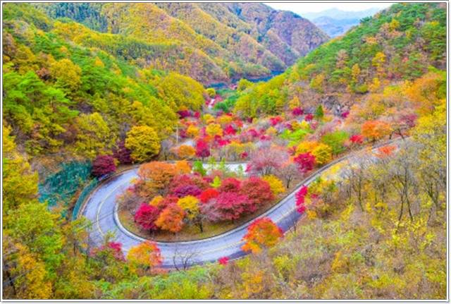 2024 단풍시기