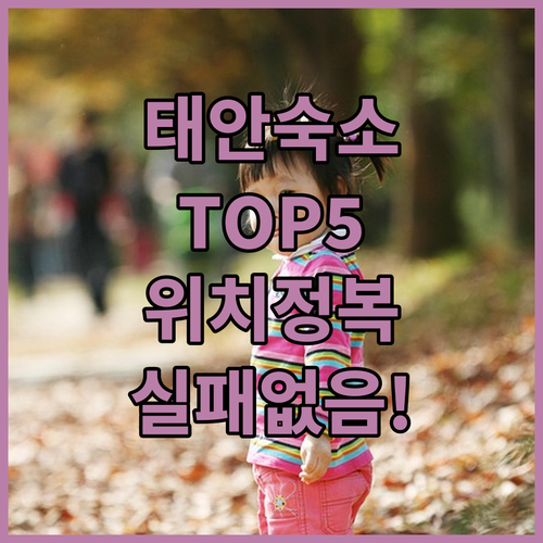 태안 숙소 추천 5곳 위치부터 장점까..