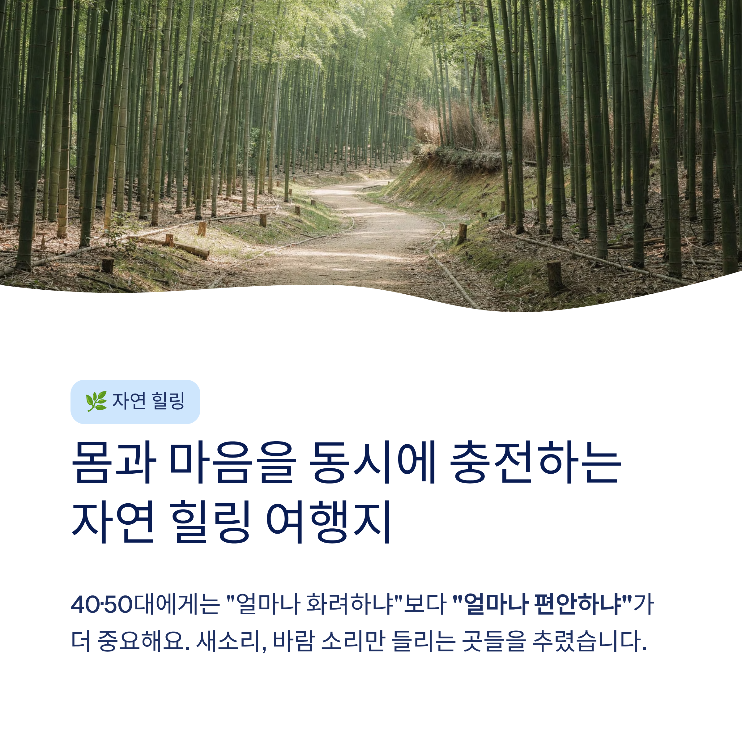 봄 국내 여행지 추천 – 40·50대가 진짜 좋아하는 가볼만한곳 총정리