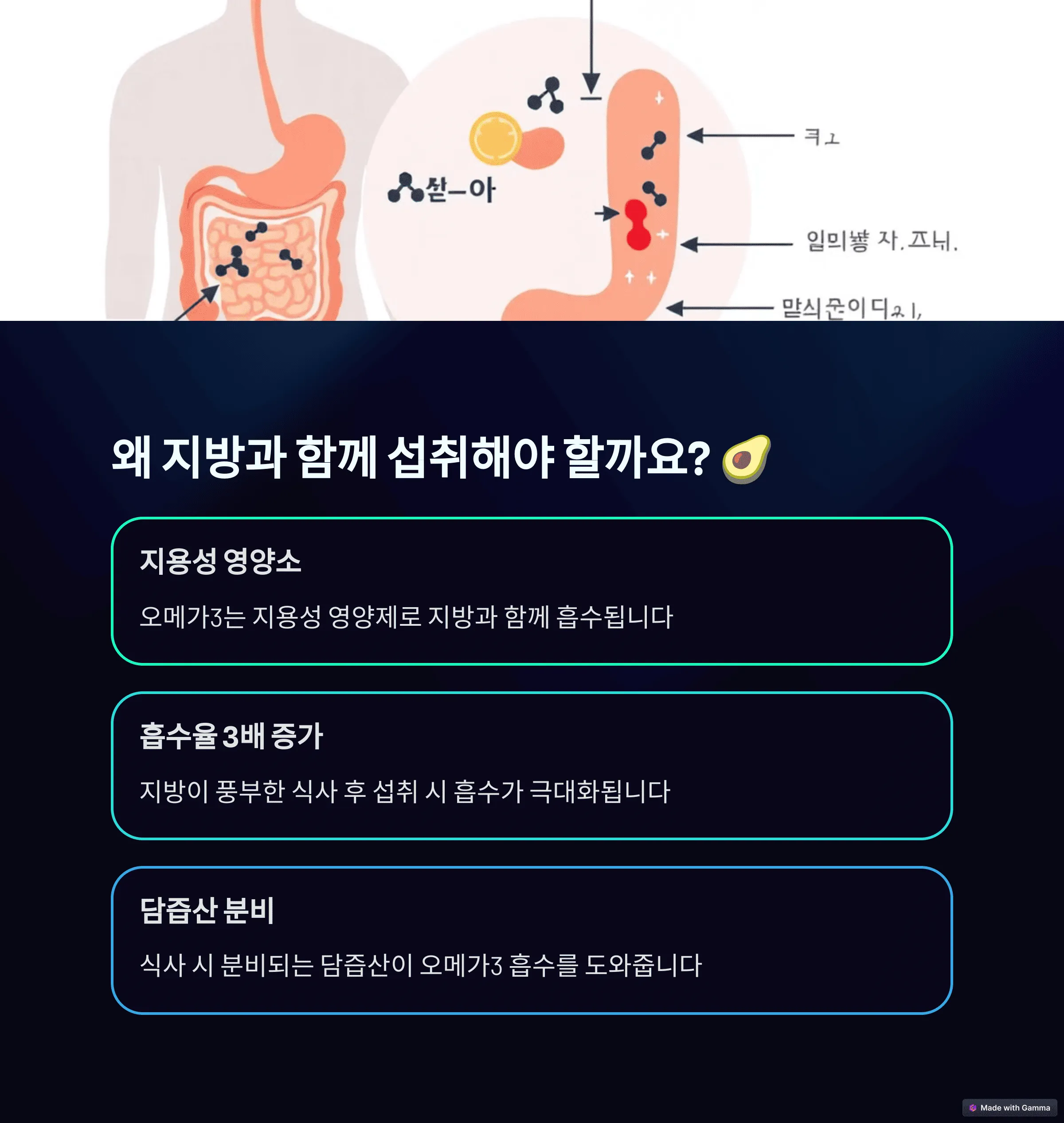 오메가3 복용 시간, 아침과 저녁 중 언제?