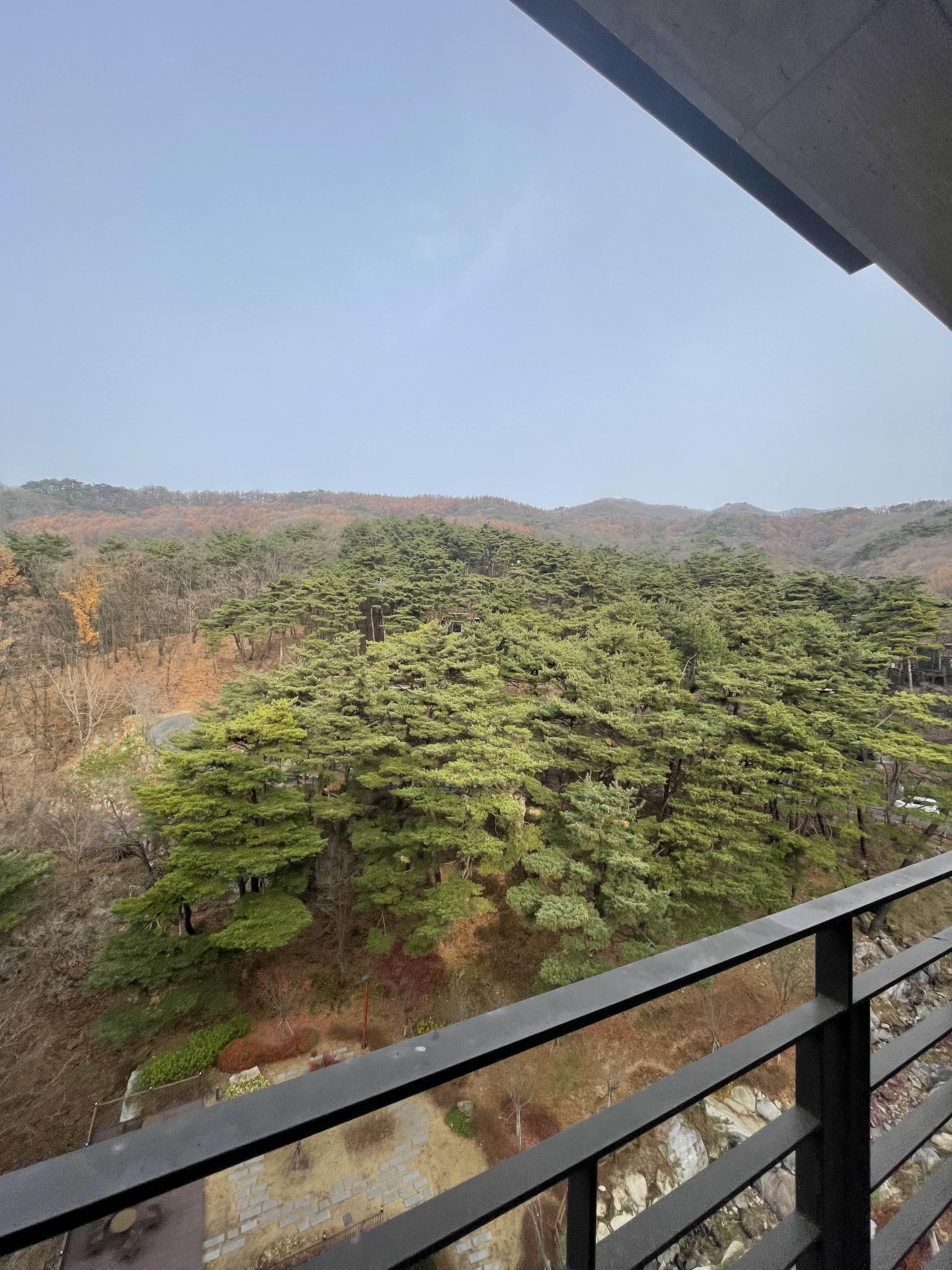 레스트리 리솜 바깥 뷰