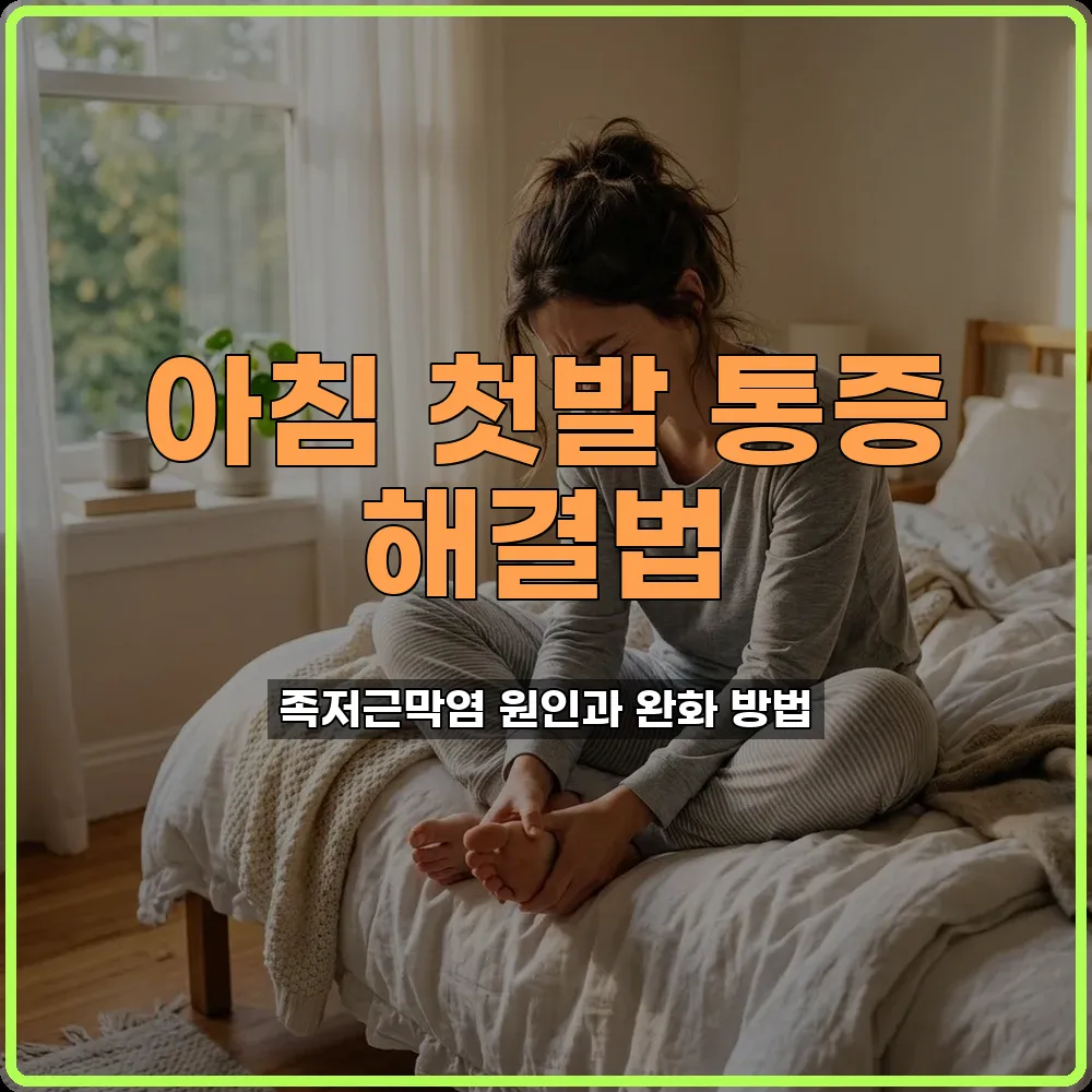 건강정보