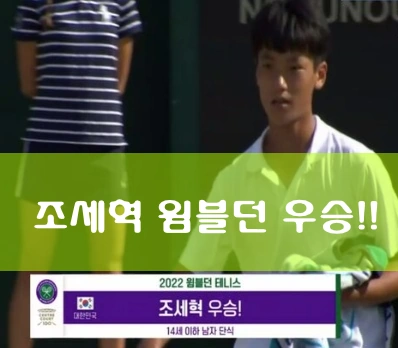 조세혁 윔블던 