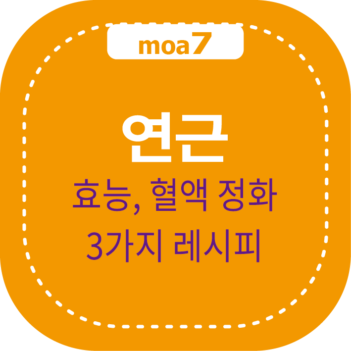 연근 효능과 혈액 정화 효과, 3가지 레시피