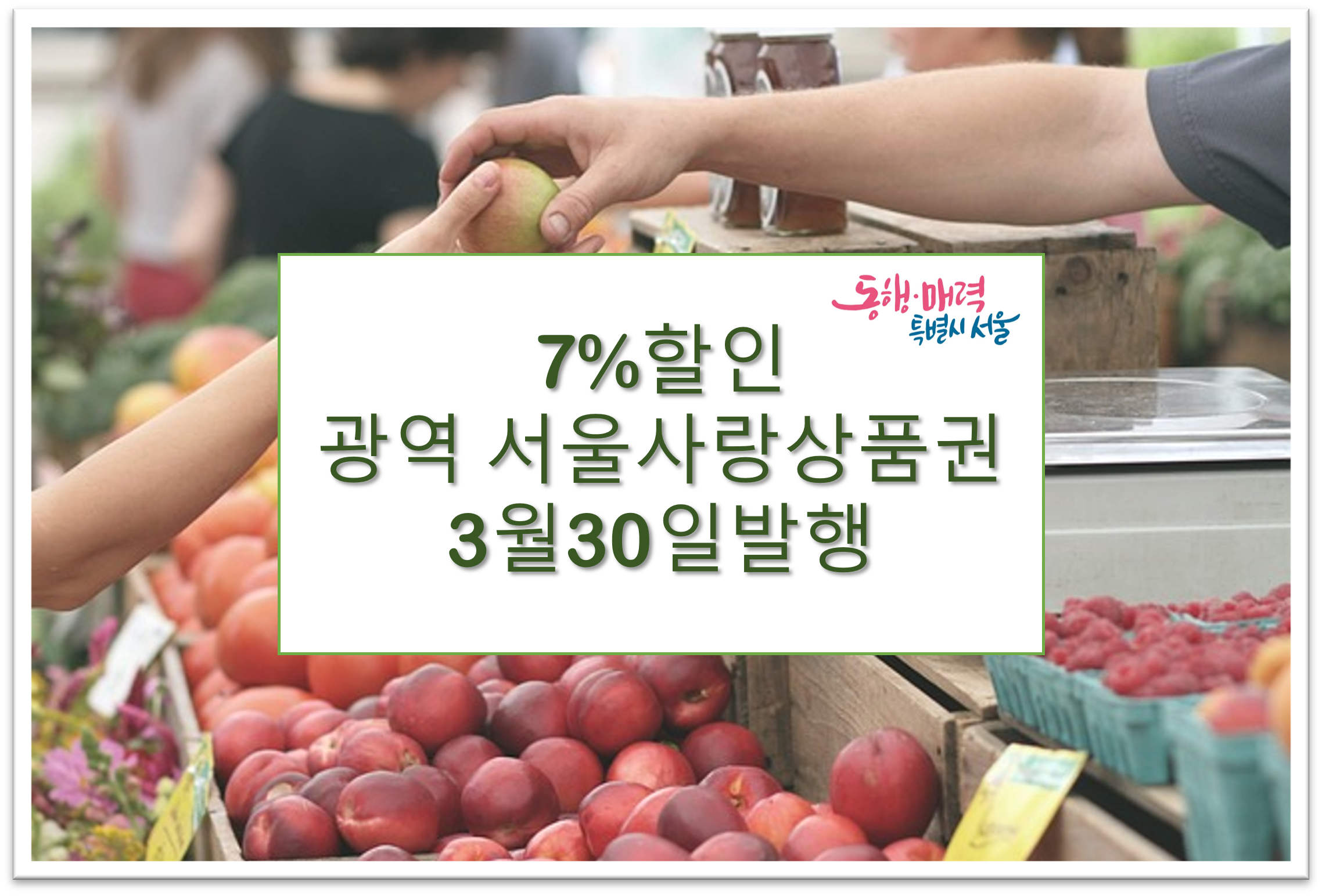 사과파는 시장 안내