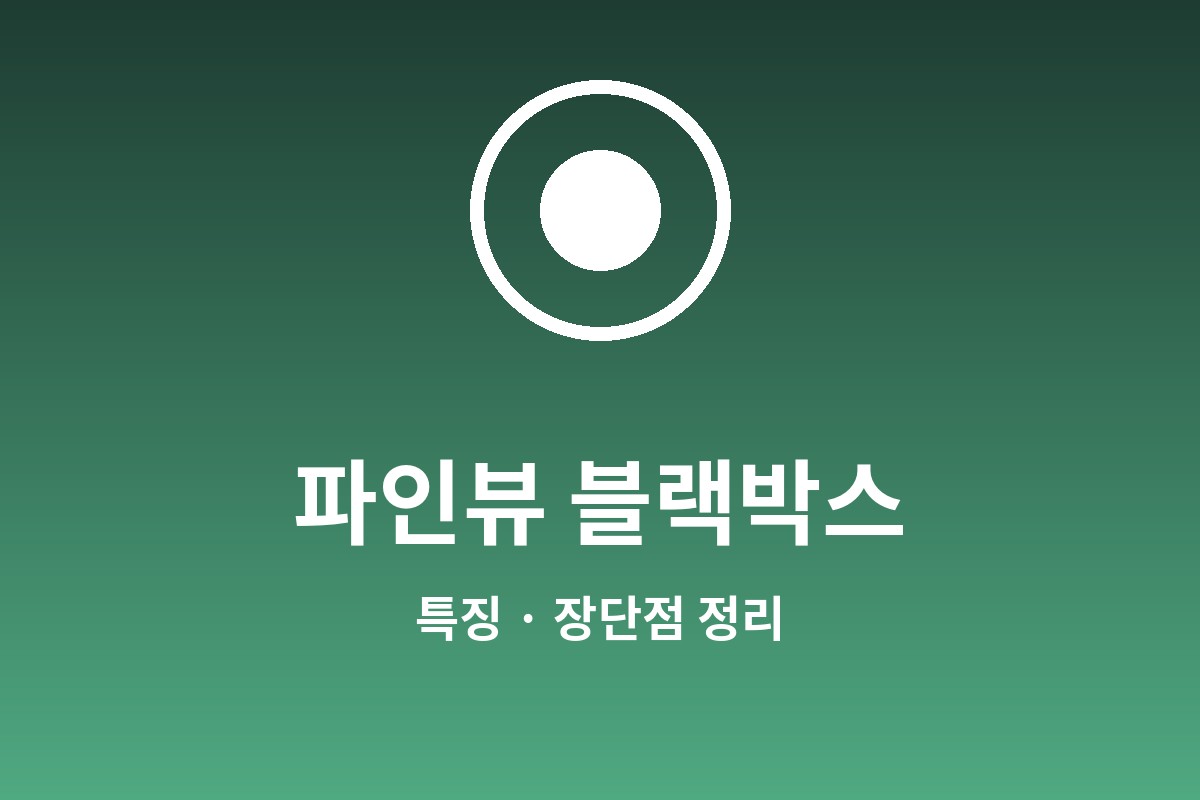 파인뷰 블랙박스