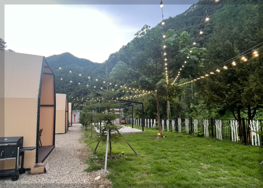 인제 자작나무 숲