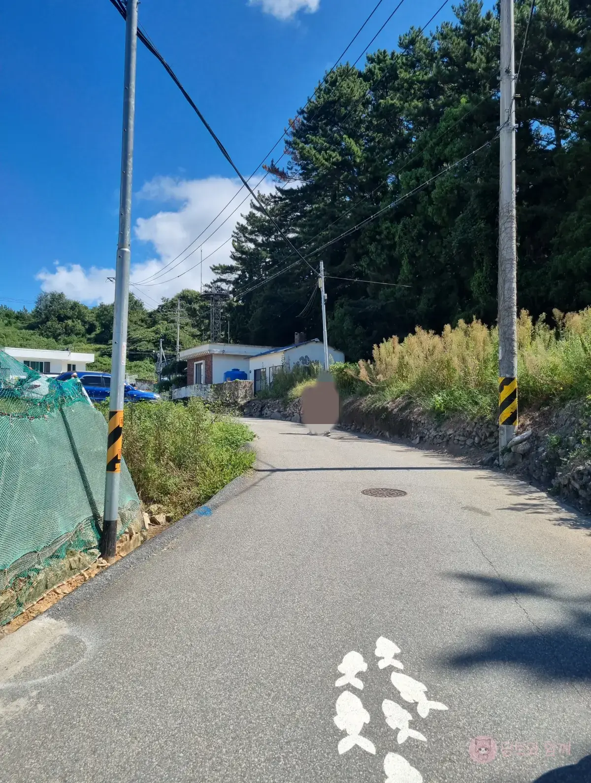 근포땅굴-가는-길