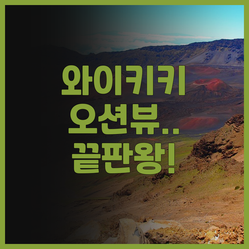 힐튼 와이키키 비치 리조트 후기 오션..