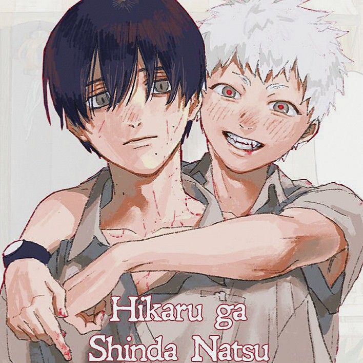 히카루가 죽은 여름 : 원작 vs 넷플릭스 애니 – 비교 분석 블로그