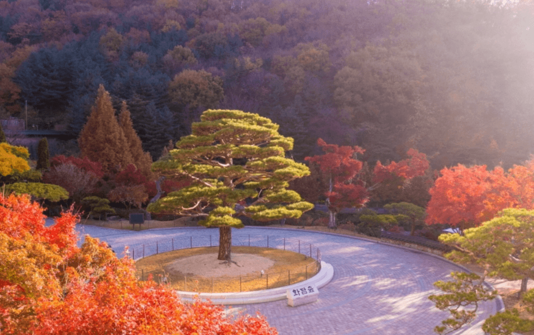 화담숲-홈페이지