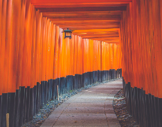 일본-입국신고서