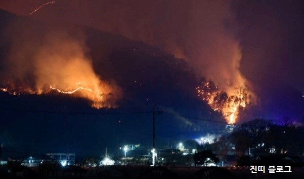 산불사진